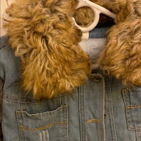 jacket with fur on inside and around neck - Picture 1 of 8